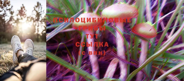 стафф Вязники