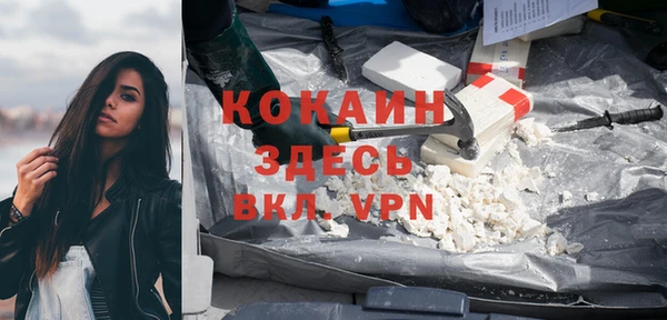 сатива Волоколамск