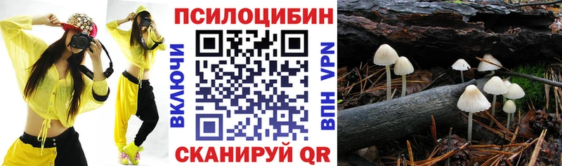 даркнет состав  kraken как зайти  Заинск  Псилоцибиновые грибы Magic Shrooms 